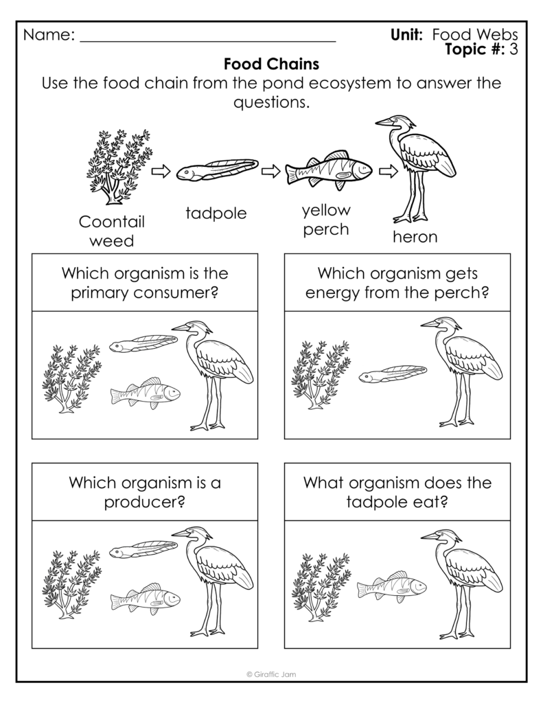 Teaching Food Webs